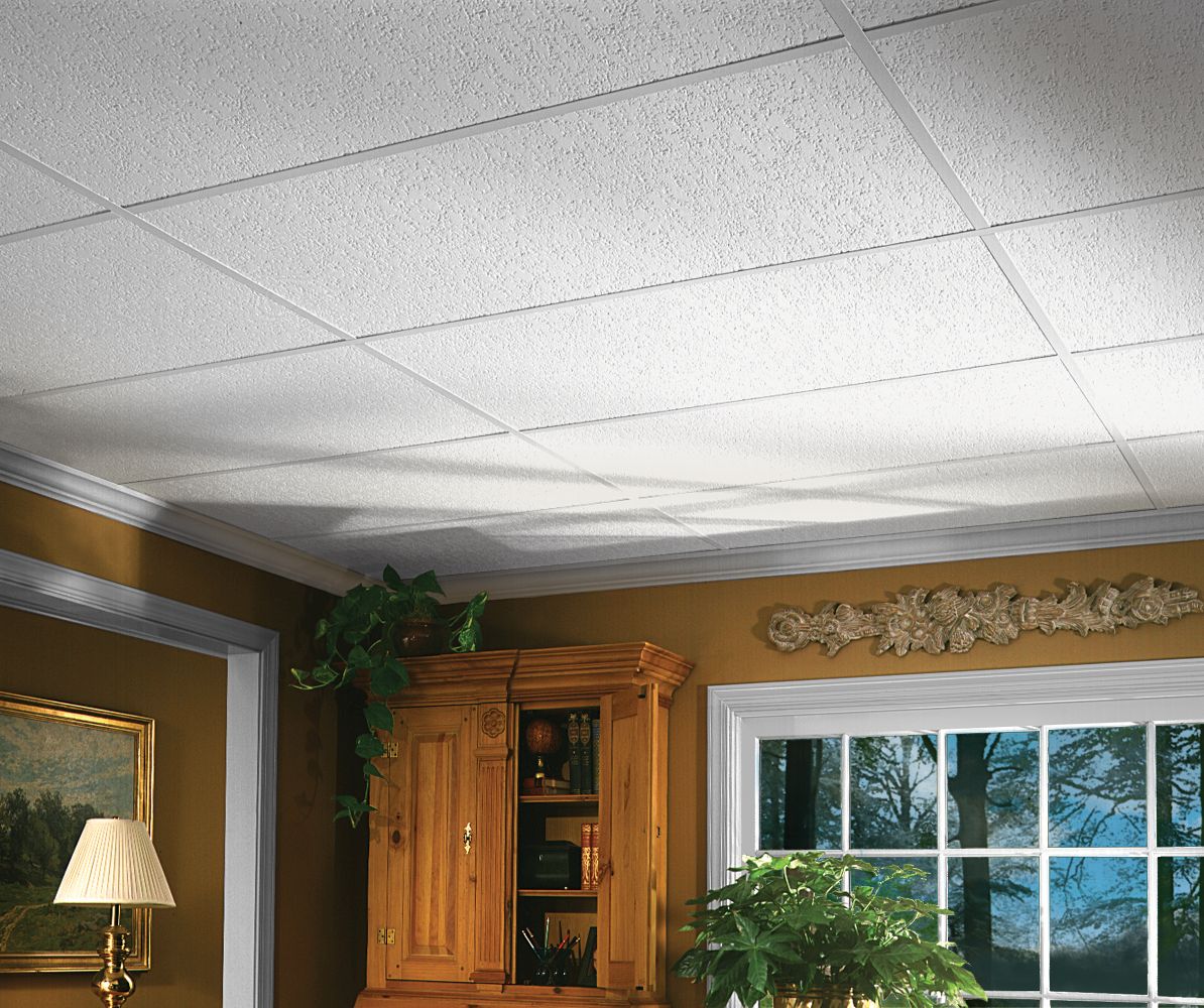 Impression HomeStyle Ceilings Textured Paintable 2' x 4' Panel 1135 by