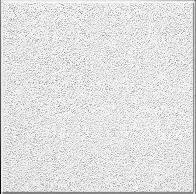 Brighton HomeStyle Ceilings Textured Paintable 2' X 2' Panel 266 By ...