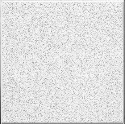 Brighton Homestyle Ceilings Textured Paintable 2' X 2' Panel 266 By 