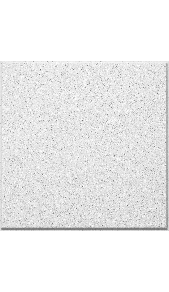 Sand Pebble HomeStyle Ceilings Smooth Paintable 2' x 2' Panel 269 by